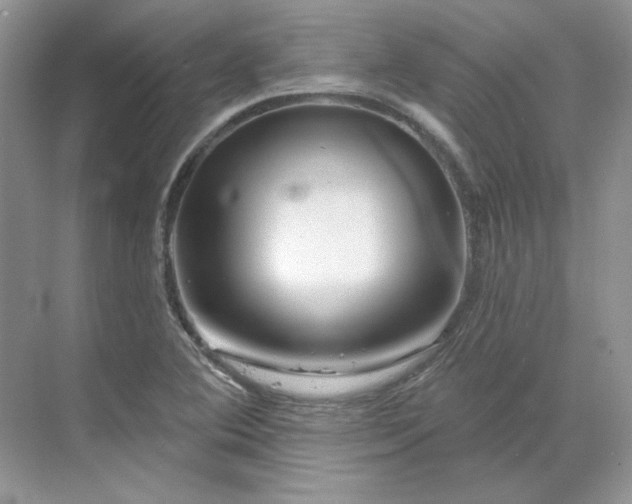 X0000070181364200606091456