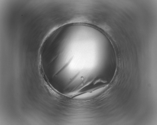 X0000070181366200606091456