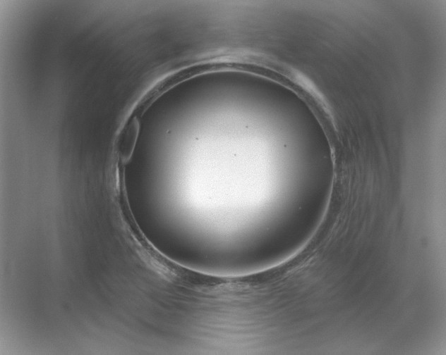 X0000070181368200606091455