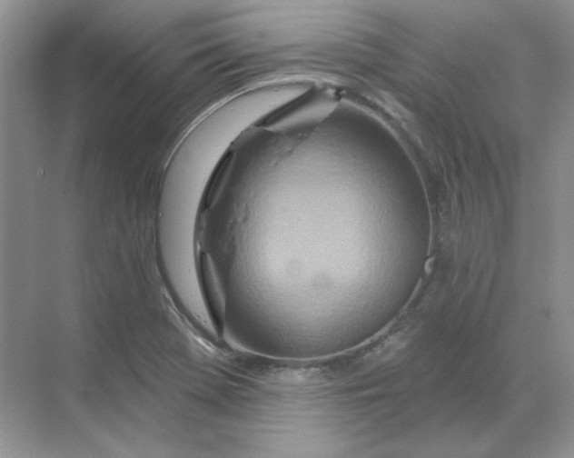 X0000070181369200606091455