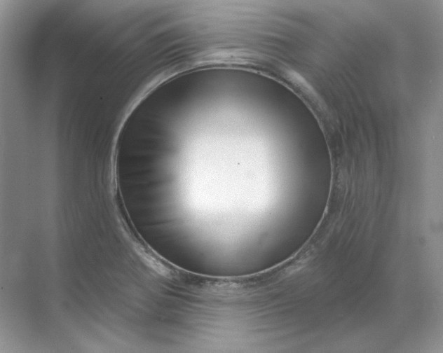 X0000070181370200606091455