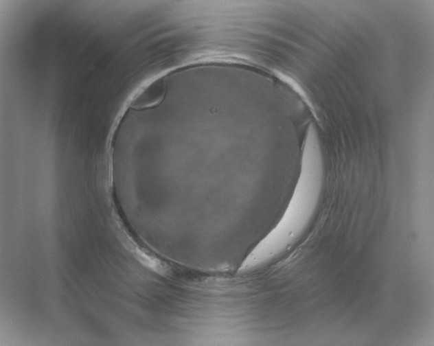 X0000070181371200606091455