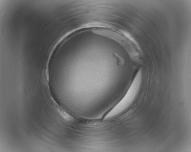 X0000070181372200606091455