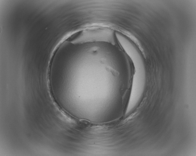 X0000070181373200606091455