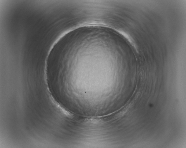 X0000070181374200606091455