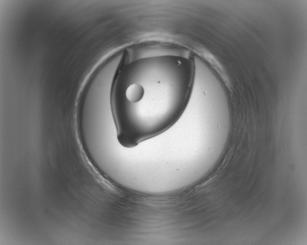 X0000070181376200606091455