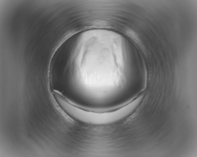 X0000070181378200606091455