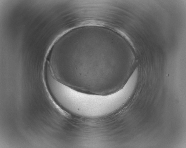 X0000070181379200606091455