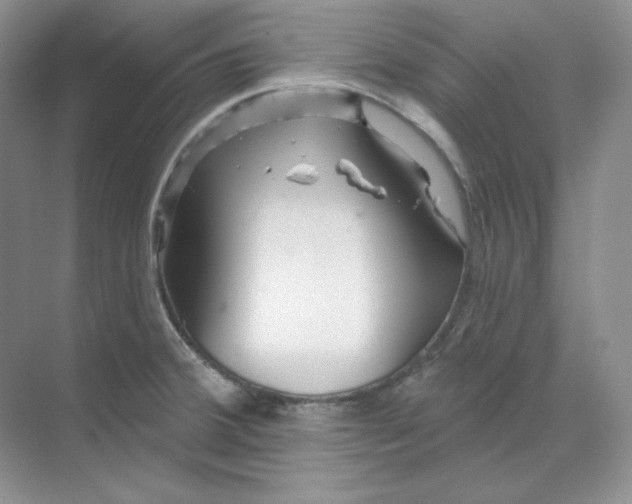 X0000070181380200606091455