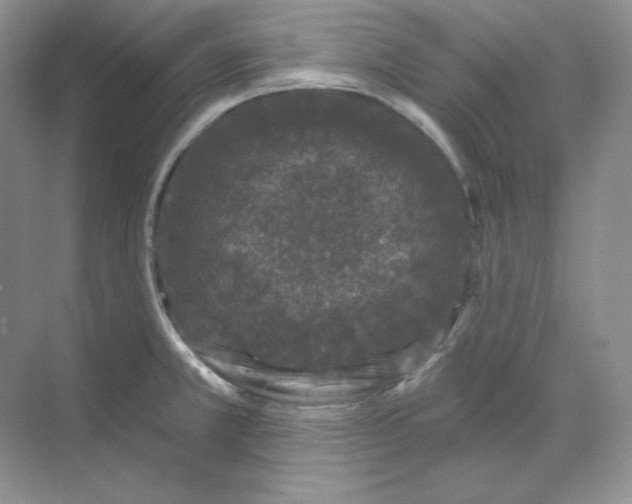 X0000070181381200606091455