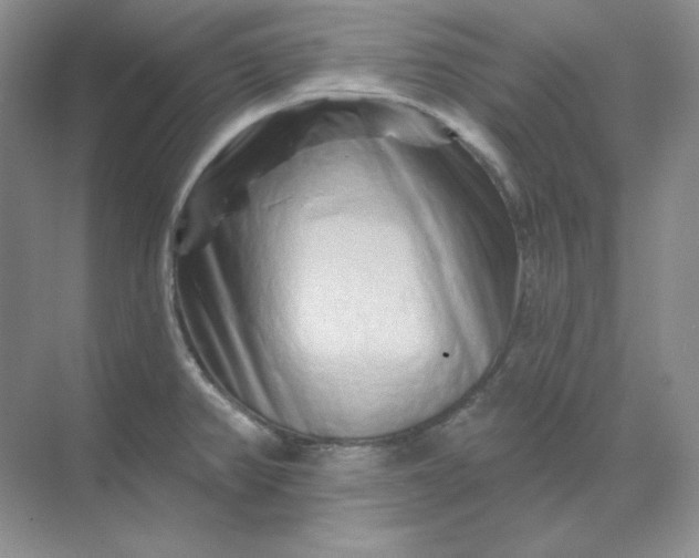 X0000070181382200606091455