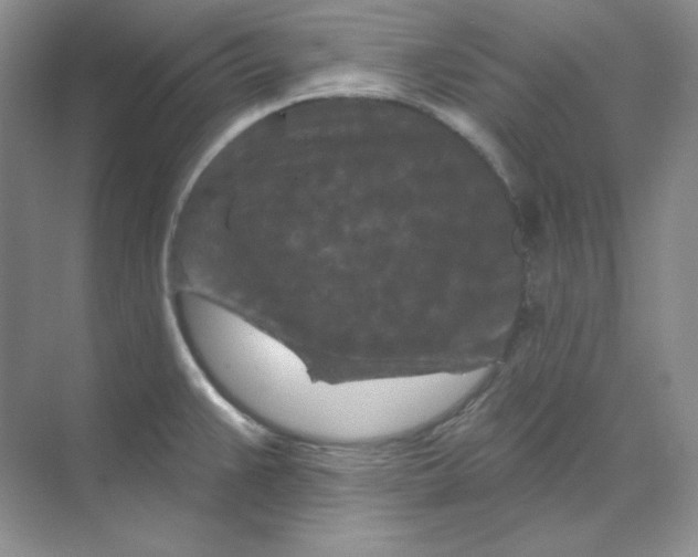 X0000070181383200606091455