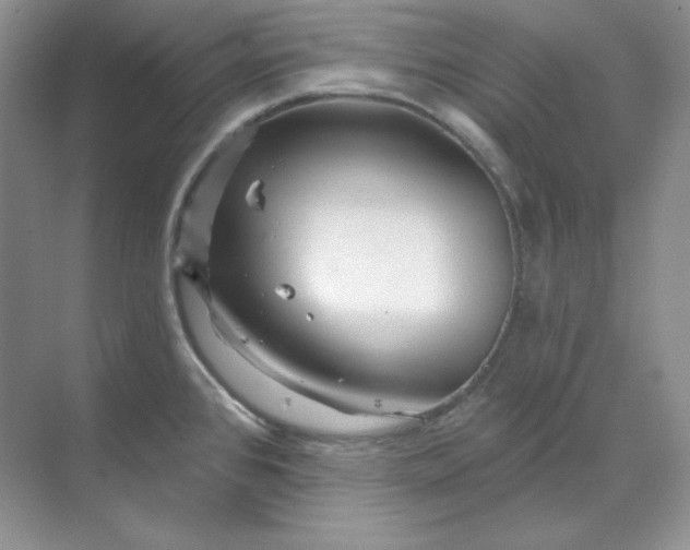 X0000070181384200606091455