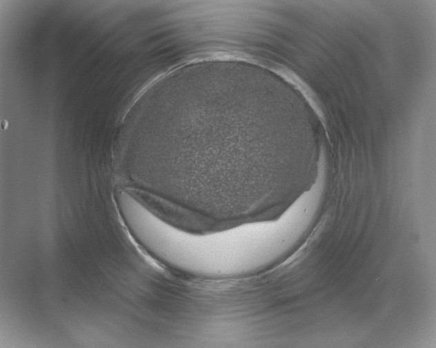 X0000070181385200606091455