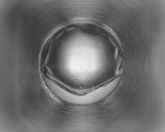 X0000070181386200606091455