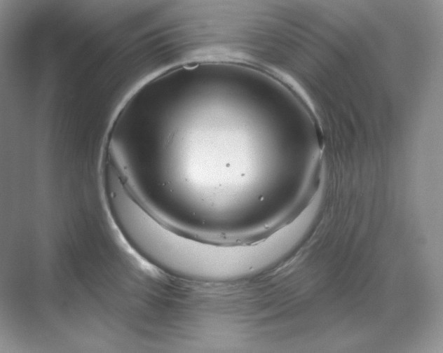 X0000070181387200606091455