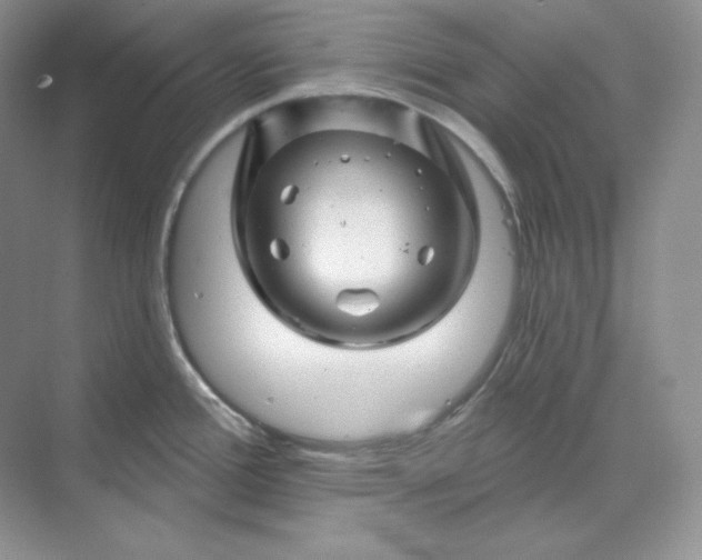 X0000070181388200606091455