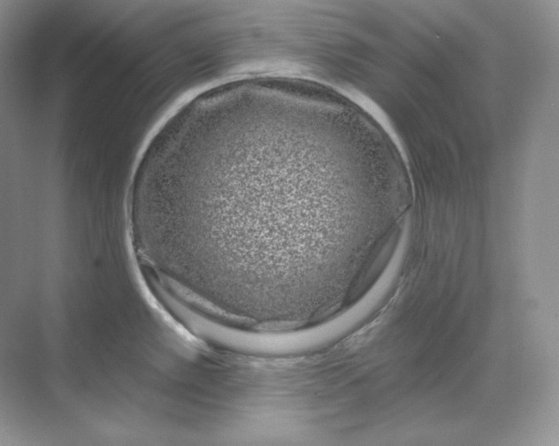 X0000070181389200606091455