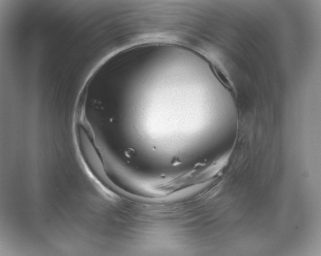 X0000070181391200606091455