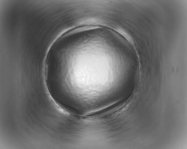 X0000070181392200606091455