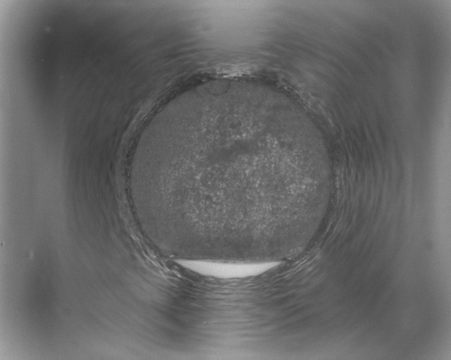 X0000070181393200606091454