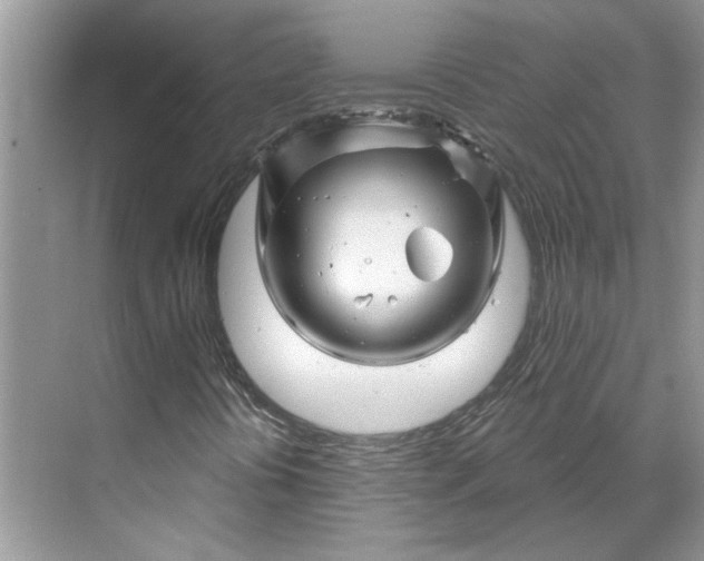 X0000070181394200606091454