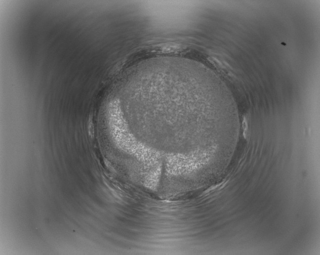 X0000070181395200606091454