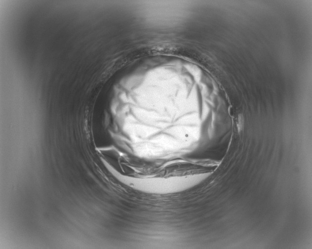 X0000070181396200606091454