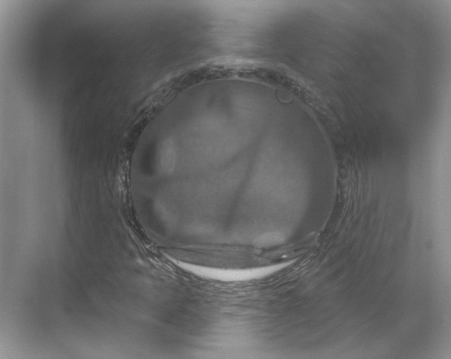 X0000070181397200606091454