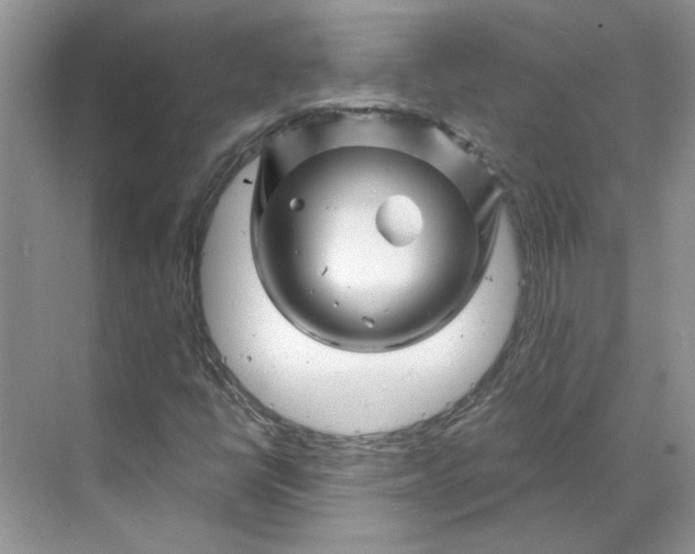 X0000070181398200606091454