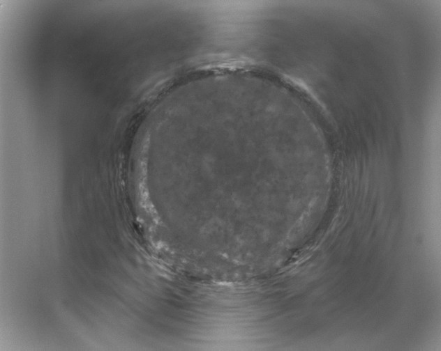 X0000070181399200606091454