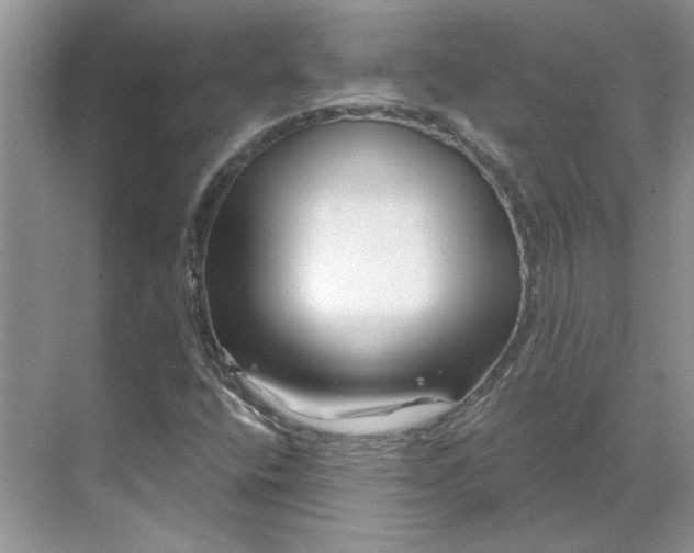 X0000070181400200606091454