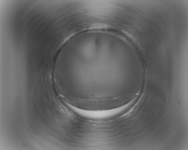 X0000070181401200606091454