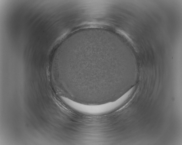 X0000070181403200606091454