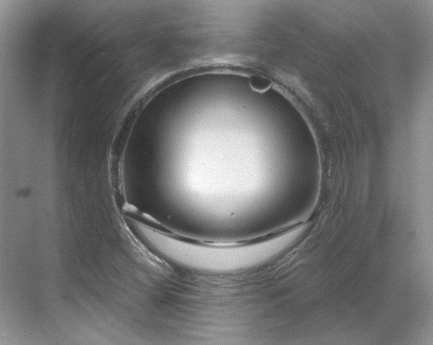 X0000070181404200606091454