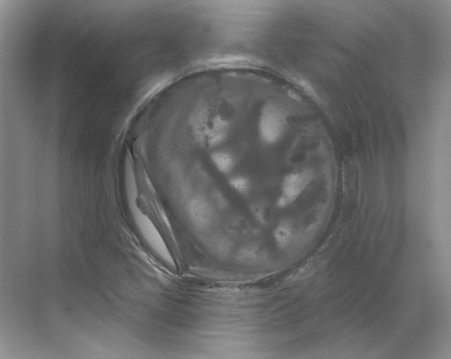 X0000070181405200606091454