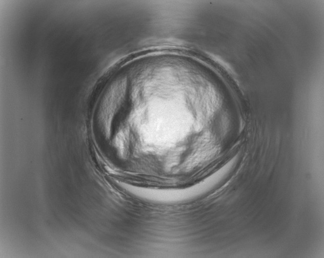 X0000070181407200606091454