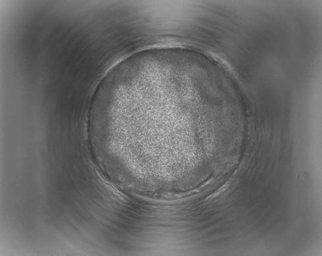 X0000070181409200606091455