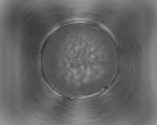 X0000070181411200606091455