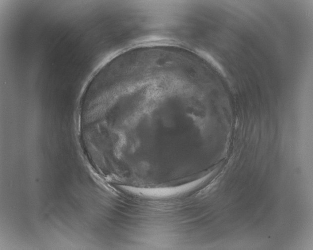 X0000070181413200606091455