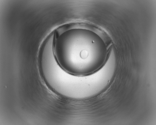 X0000070181414200606091455