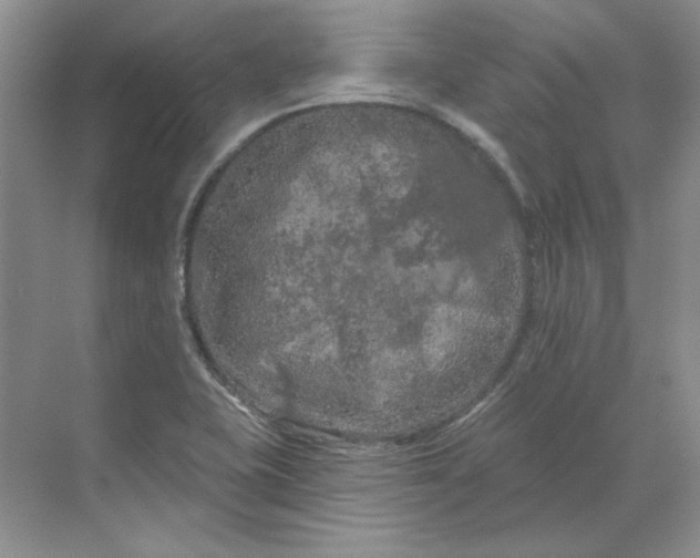 X0000070181415200606091455