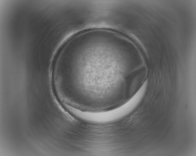 X0000070181416200606091455