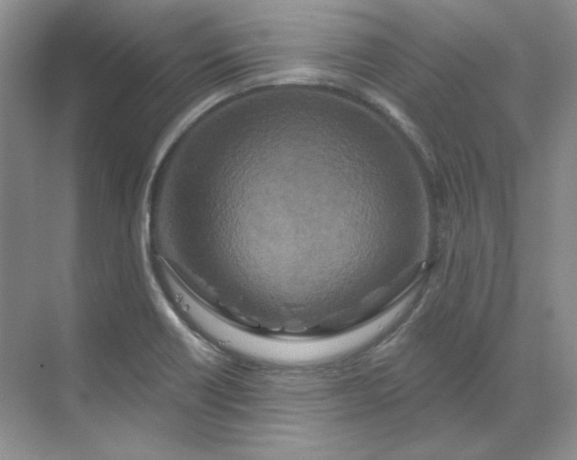 X0000070181418200606091455