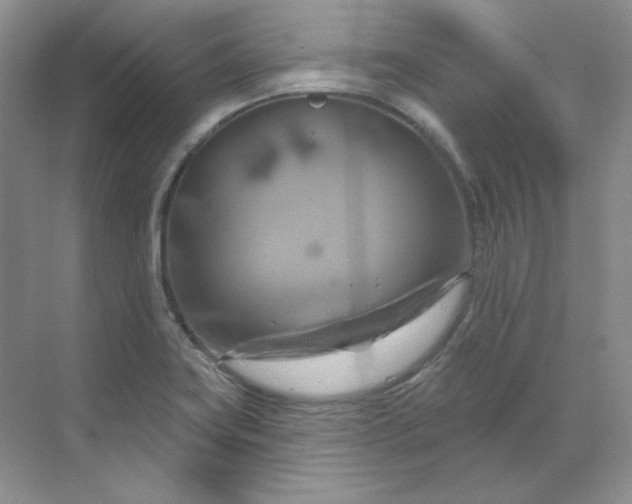 X0000070181419200606091455