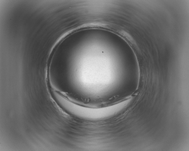 X0000070181420200606091455