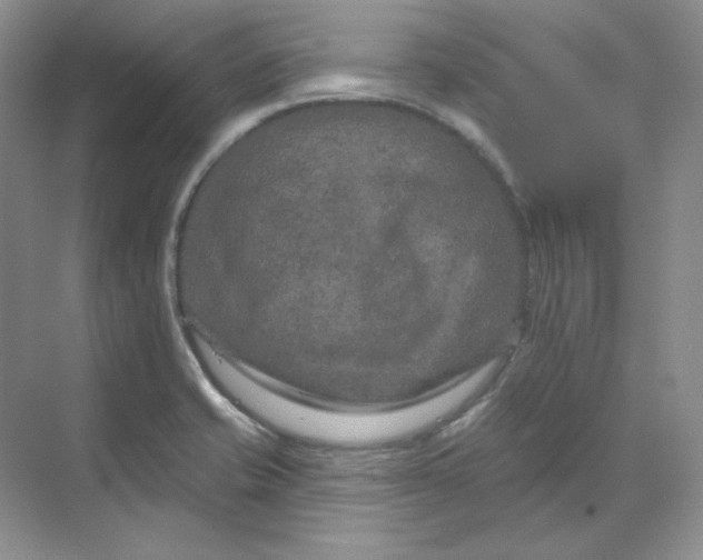 X0000070181421200606091455