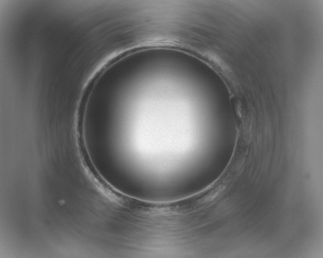 X0000070181422200606091455