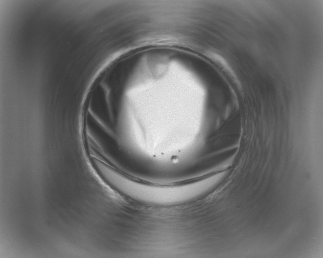 X0000070181424200606091455