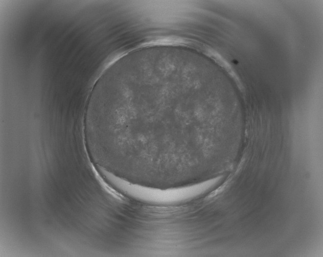 X0000070181425200606091455